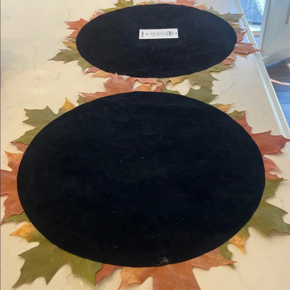 Pier 1 Imports Fall Placemat Set of 2 NWT
